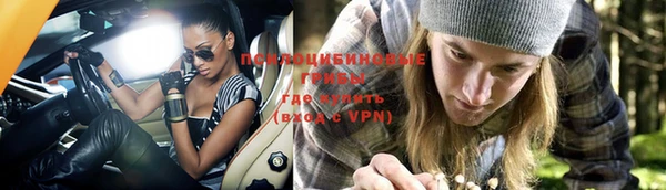 СК Киренск