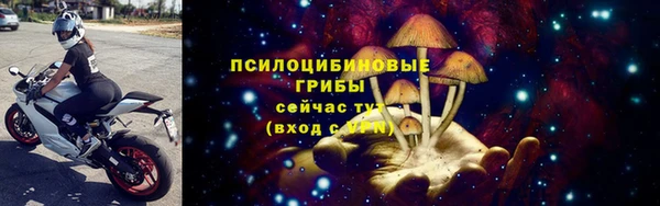 СК Киренск